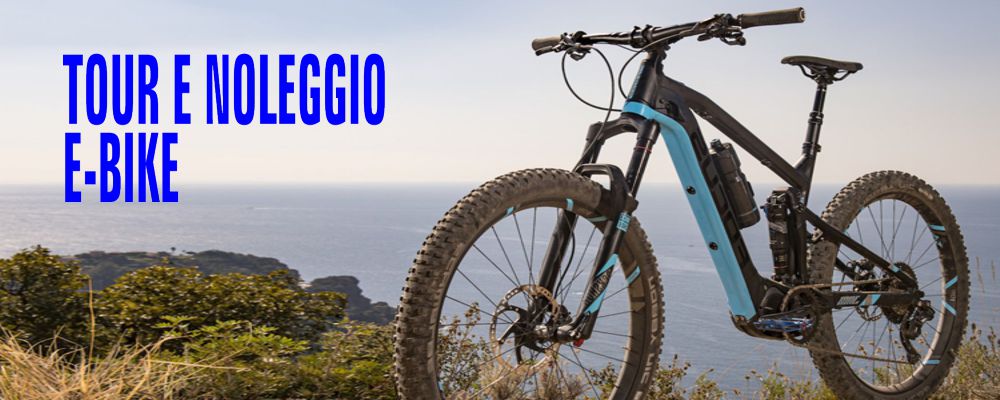 e-bike